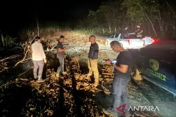 Polda Kalsel pastikan tidak ada tambang ilegal di Tabalong