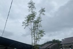 Waspada hujan lebat pada sejumlah kabupaten