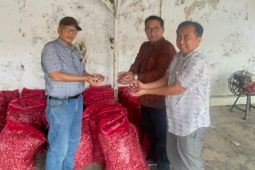 Pemkot Jambi datangkan dua ton bawang merah dari Brebes untuk stabilkan harga