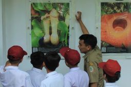 BKSDA Kalbar siapkan empat langkah untuk pengembangan bioprospeksi