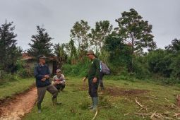 BKSDA Sumbar menurunkan tim tangani konflik harimau mangsa ternak