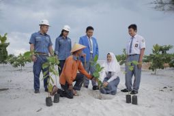Komitmen pada ESG, MIND ID Melalui PT Timah Tanam 2.500 Mangrove