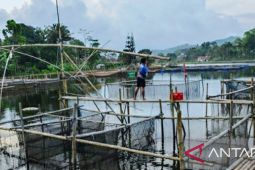 Keramba jaring apung sumbang produksi ikan tawar terbesar di Purwakarta