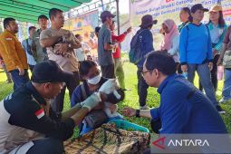 Disbunnak Kalbar memperkuat manajemen pengendalian kasus rabies