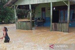 210 warga terdampak banjir dipicu hujan tinggi di Subulussalam