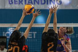 Tempat final four Proliga 2024 pindah ke Surabaya dan Semarang