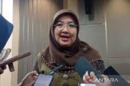 799 meninggal akibat DBD per minggu ke-23 tahun 2024