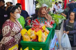 Ekonomi Kalbar Triwulan I 2024 capai 4,98 persen YoY