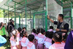 BKSDA Maluku kenalkan satwa kepada anak PAUD tumbuhkan kepedulian sejak dini