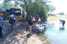 DKP Kulon Progo tebar benih ikan di Laguna Trisik dan Glagah jaga kelestarian