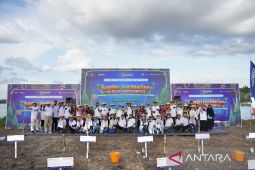 Pupuk Kaltim-Otorita IKN hijaukan lahan eks tambang di Kukar