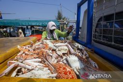 Harga rajungan anjlok