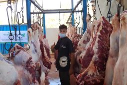 Tebar hewan kurban Dompet Dhuafa hingga Palestina