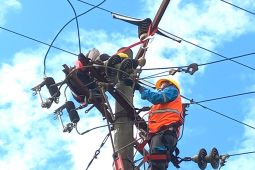 Foto - Petugas PLN lakukan pemeliharaan infrastruktur kelistrikan melalui GAES