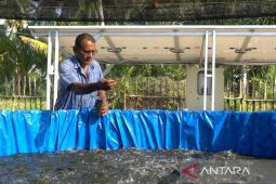 Inalum dukung budi daya perikanan darat manfaatkan energi mandiri PLTS