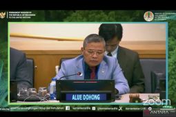 Wamen LHK tekankan  pentingnya sistem pemantauan hutan dalam forum PBB