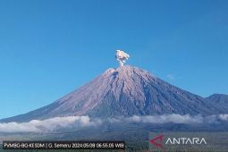 Gunung Semeru kembali erupsi