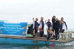 Pupuk Kaltim mengkonservasi laut dengan turunkan 6.882 terumbu karang