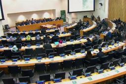 Indonesia menegaskan pentingnya akurasi pemantauan hutan di Forum PBB