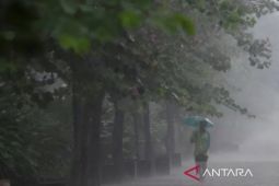 Wilayah Kalsel berpotensi hujan petir pada siang hari ini