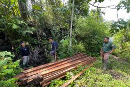 TNKS Bengkulu-Sumsel temukan ratusan potong kayu hasil pembalakan liar