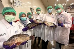 Regal Springs Indonesia dukung transformasi "pangan biru"