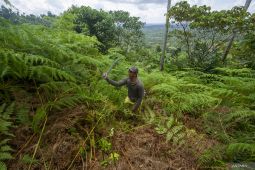 Kehidupan regeneratif mewujudkan tanah dan ruang sehat