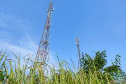 Smartfren harap proses merger dengan XL Axiata tak berlangsung lama