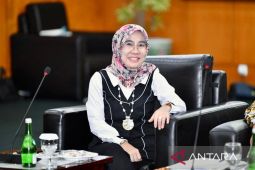 Golkar: PDI Perjuangan sulit buktikan PMHP KPU di sidang PTUN
