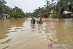 Hujan deras sebabkan 14 desa di Aceh Barat terendam banjir