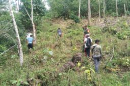 Program TMMD Kodim Rejang Lebong buka jalan baru sepanjang 3,1 KM