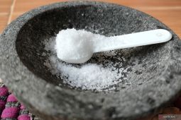 Kandungan garam pada masakan rumah tangga lebih sedikit daripada olahan
