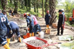 Polri-TNI dan Pertamina tutup 382 sumur minyak ilegal di Batanghari
