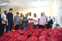 Pemkot Jambi optimistis intervensi pasar turunkan harga bawang merah