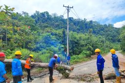 Cuaca ekstrim timbulkan gangguan serius pelayanan listrik PLN di Morut