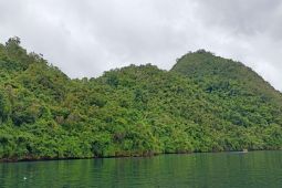 Dijadikan cagar budaya, TACB teliti Gunung Srobu, Papua