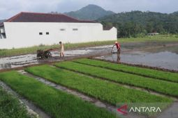 Pemkab Kuningan sebut pompanisasi tunjang peningkatan IP sawah tadah hujan