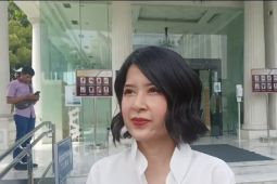 Isu politik dinasti di Sumut digunakan pihak yang takut, kata Grace Natalie