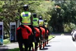 Polri kerahkan pasukan berkuda di area pertemuan World Water Forum