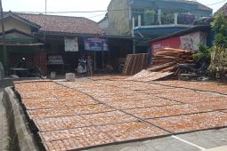 Perajin kerupuk di Kabupaten Lebak mampu tingkatkan ekonomi masyarakat