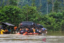 SAR sebut tiga ekor buaya terpantau di Sungai Lalindu Sultra akibat banjir bandang
