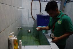 Atasi DBD, Dinkes Tangerang gencarkan edukasi masyarakat