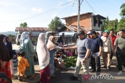 OPD-ASN Tapsel jalan santai bersama Bupati Dolly Pasaribu