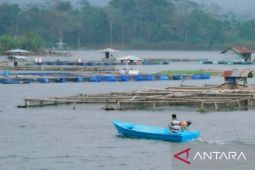 Dinas: Produksi ikan air tawar Purwakarta telah penuhi pasar di kota besar