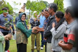 Hari Air Dunia, bibit pohon ditanam di waduk Perumda Tirta Uli Pematangsiantar