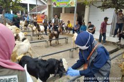 Jelang Idul Adha, Disnak Trenggalek pastikan stok hewan kurban mencukupi
