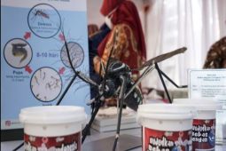 Dinkes Tanggamus Lampung tangani 227 kasus DBD hingga Juni 2024