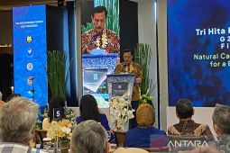 Luhut ajak Elon Musk ikut rehabilitasi mangrove