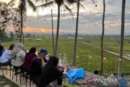 Mengelola hamparan sawah jadi oasis  di Samarinda