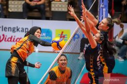 Proliga 2024: Popsivo belum terbendung usai hajar Gresik Petrokimia 3-0